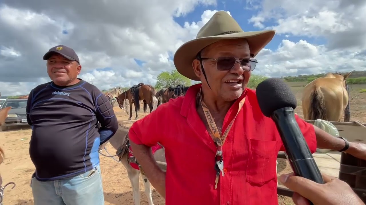 Feira de  Cavalos em Senador Rui Palmeira - AL 11 - 02 - 2025 
