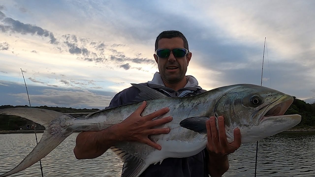 GIANT GARRICK! More RIVER MONSTERS in the Eastern Cape of South Africa. Light Tackle Estuary Fishing