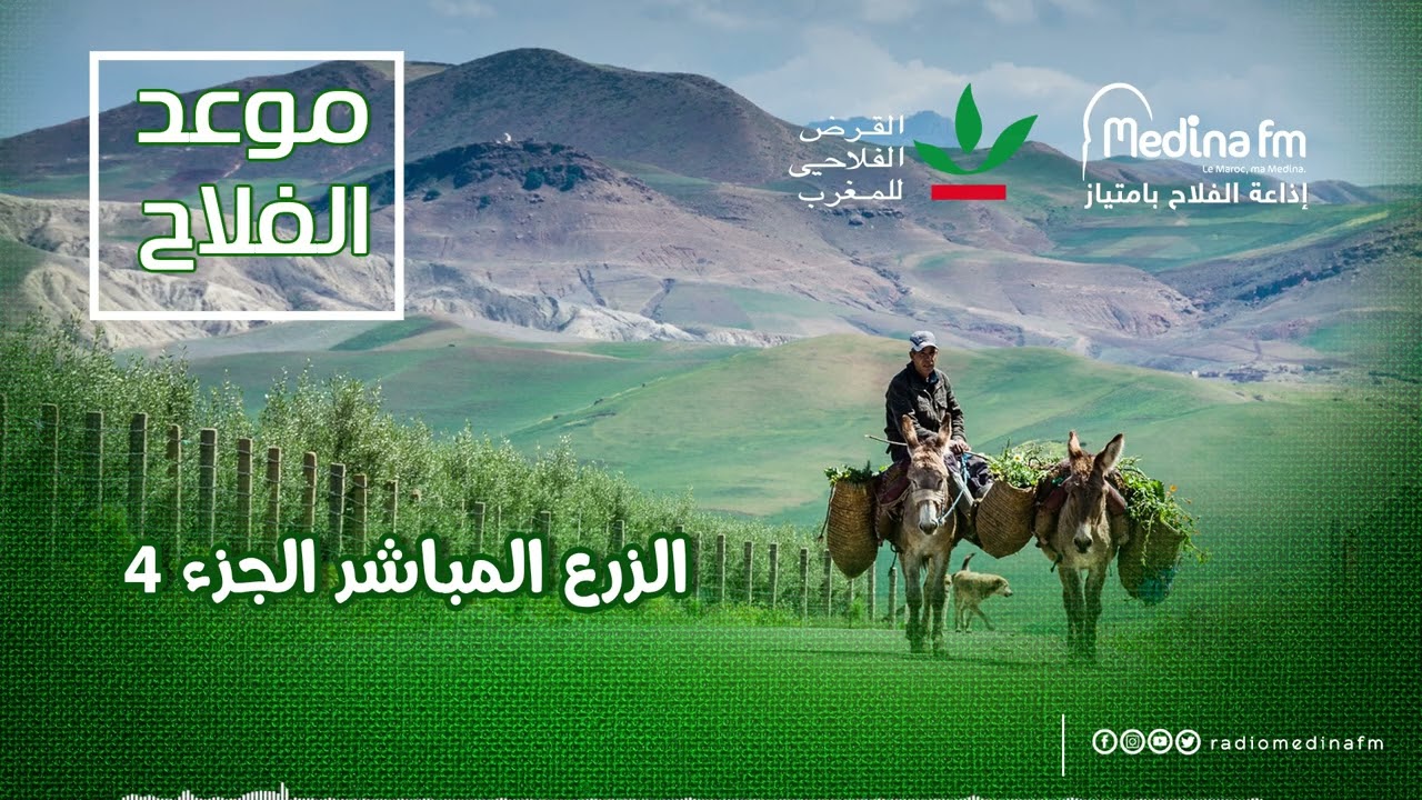 الزرع المباشر الجزء 4