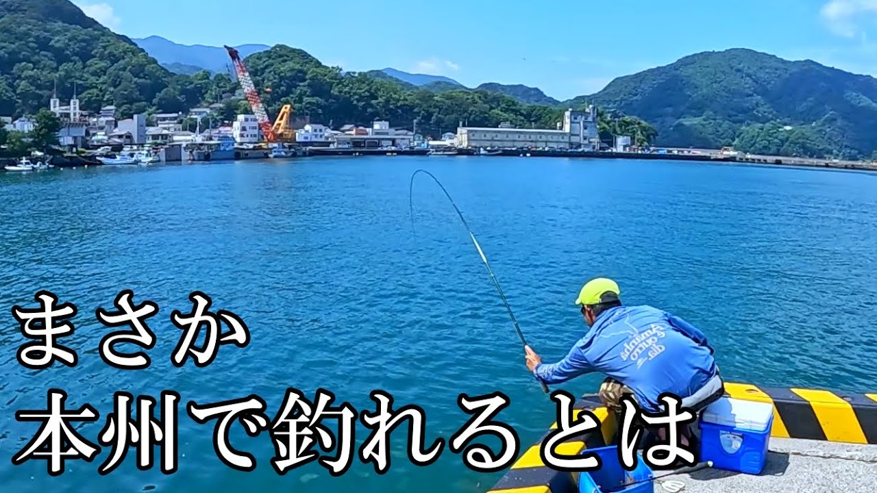いつも行く田舎の港に、沖縄の美味しい魚が群れで現れたので真剣に釣ってみました。