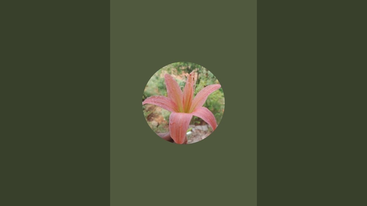கலைநிமித்தம் is live!