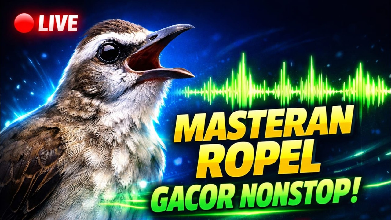 🔴 LIVE Masteran Trucukan Ropel Gacor 🔥 No Iklan | Pancingan Cepat Bunyi & Isian Tajam