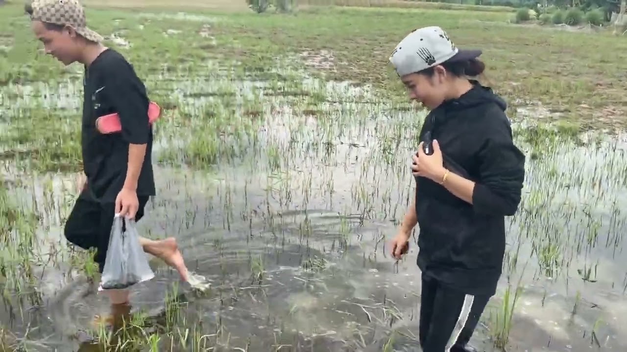 Bảy l&eacute; bắt &oacute;c cười t&eacute;t n&aacute;ch