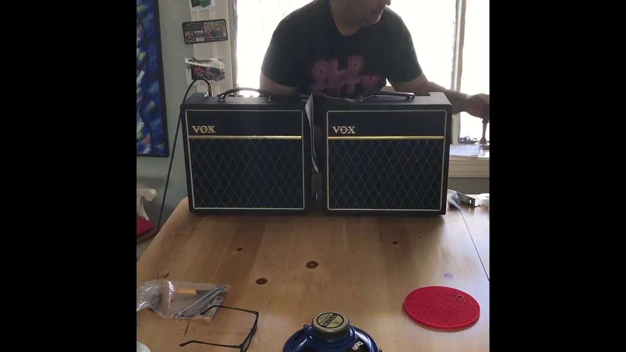 Hempopotamus Jensen C8R vs. Vox Pathfinder15R stock speaker dirty!