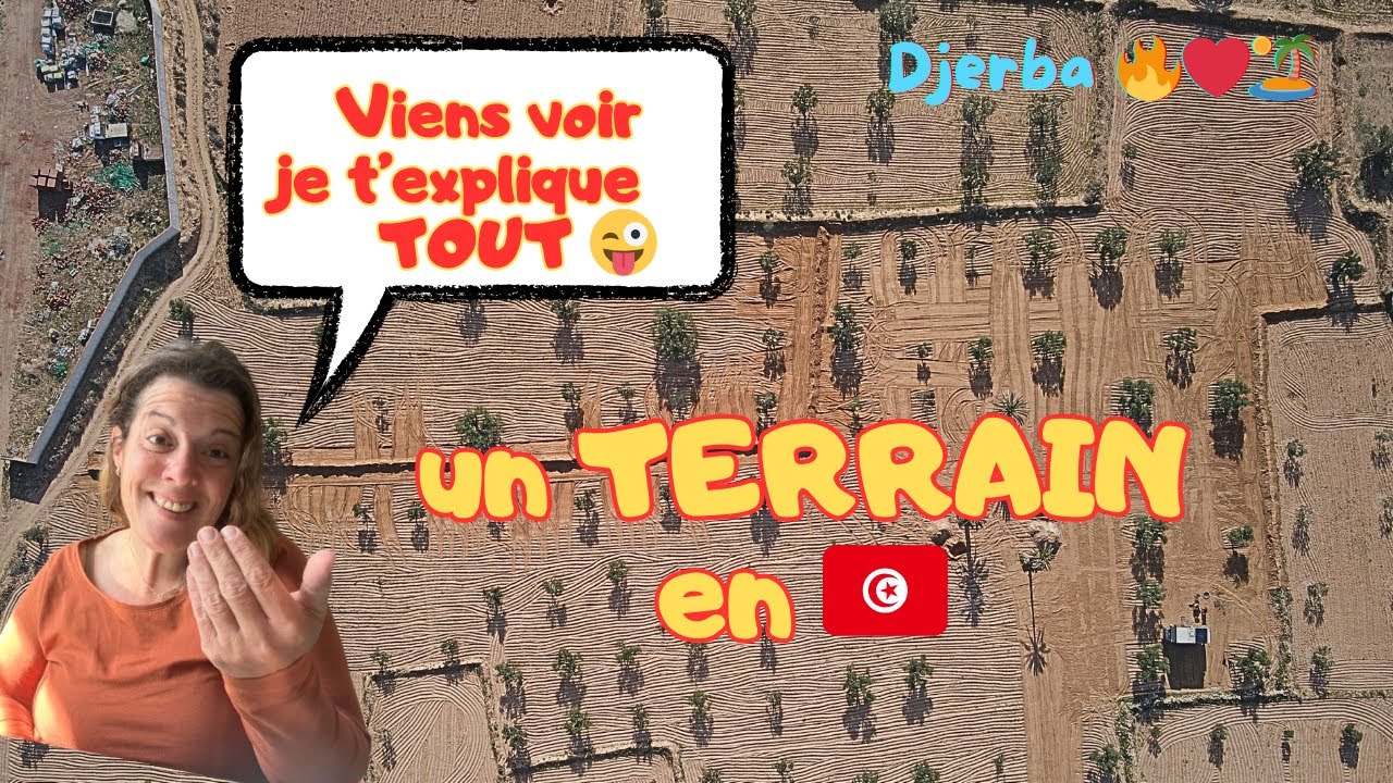 T11🇹🇳On aménage un TERRAIN en TUNISIE‼️  #travel #expat #tunisia