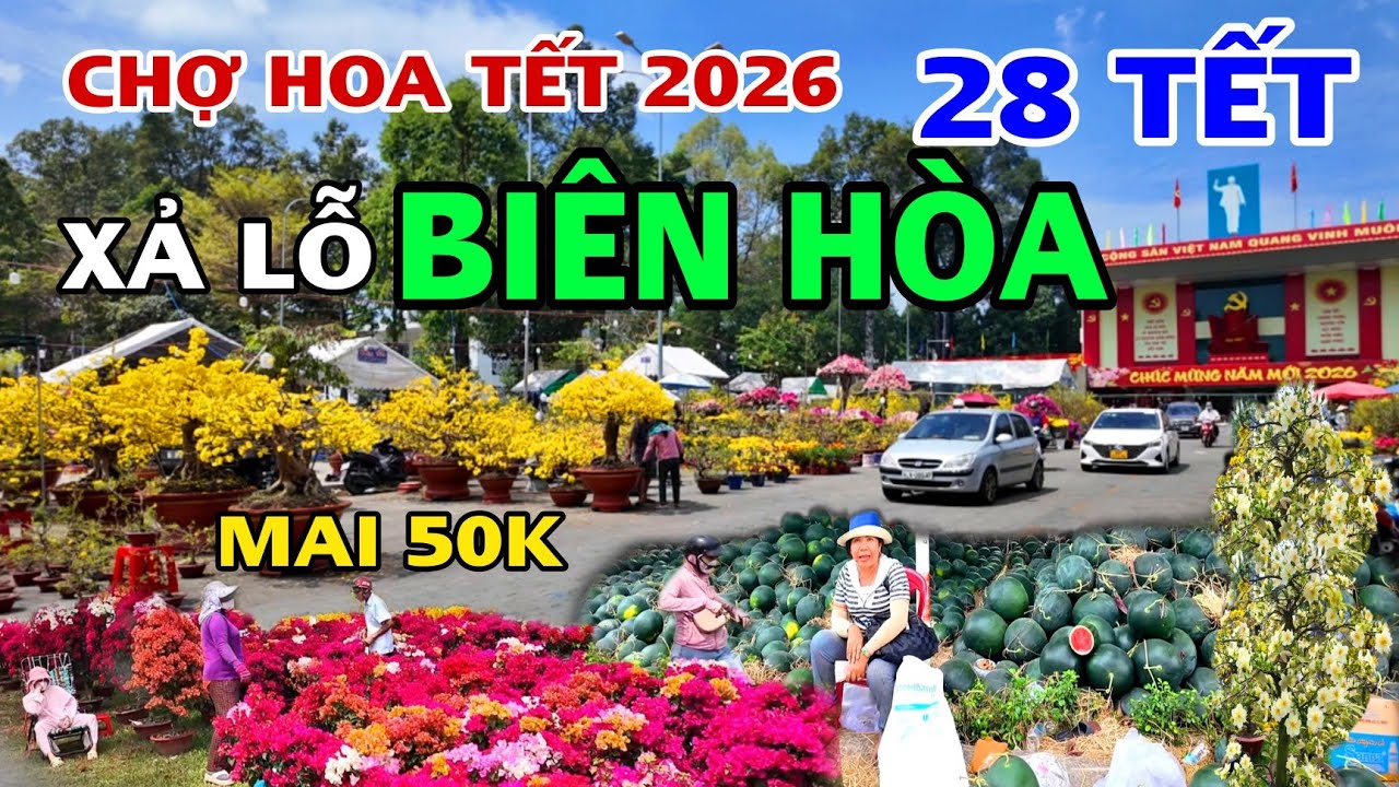 CHỢ HOA TẾT BIÊN HÒA 2026 hoa SIÊU RẺ MAI CHỈ 50K GIẢM  SẬP SÀN 50% TẠI QUẢNG TRƯỜNG TỈNH Và CV B5 .
