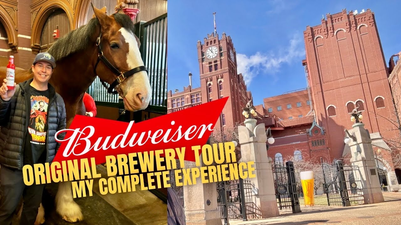 The Original Budweiser Brewery Tour & Famous Clydesdale Horses Stable Experience - FREE BEER