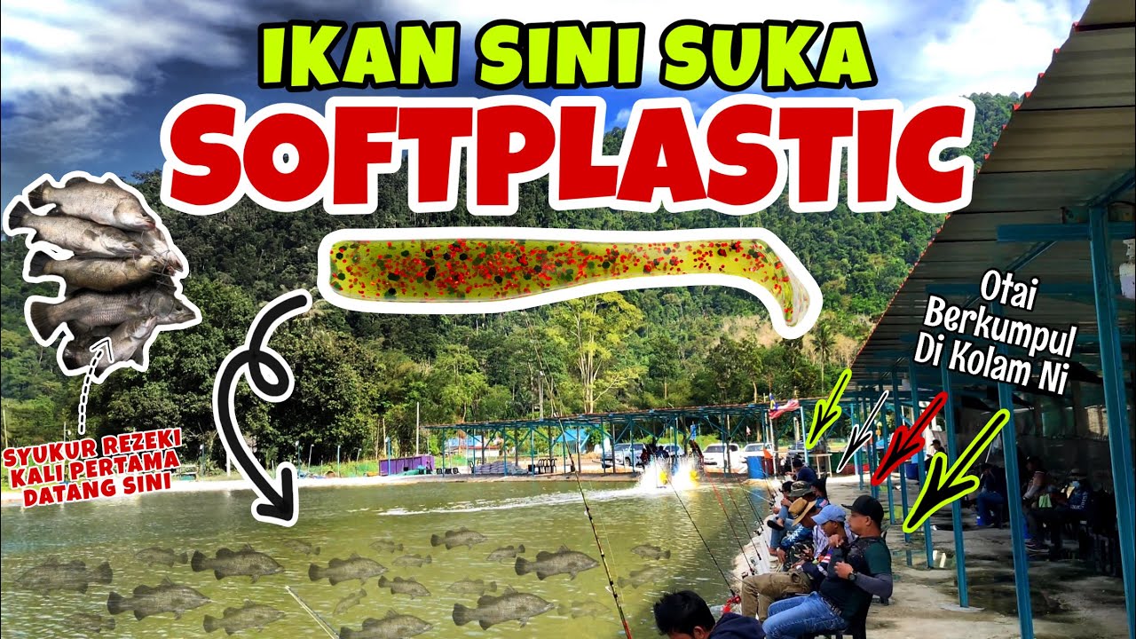 KOLAM WAJIB!!! Ramai Pecahkan REKOD PERIBADI di Kolam Ulu Bendul | casting siakap kolam air masin