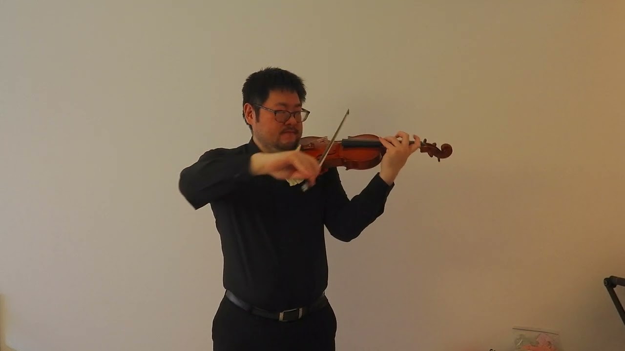 Hiroyuki IWAKI, violin