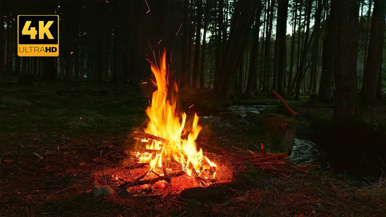 4K 📺 Cozy Evening Campfire by the Stream - Authentic Forest Ambience