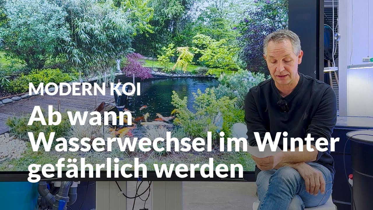 Darauf sollte man im Winter bei Wasserwechsel achten | Modern Koi Blog #7130