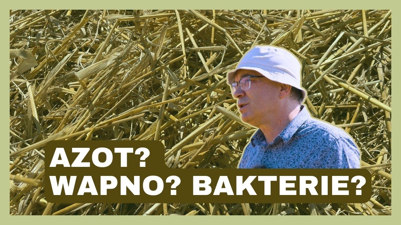 Co na rozkład resztek pożniwnych? Azot? Wapno? Bakterie? Prof. Szczepaniak radzi | e-pole