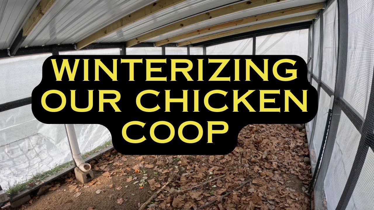 Winterizing our Chicken Coop in 2024!