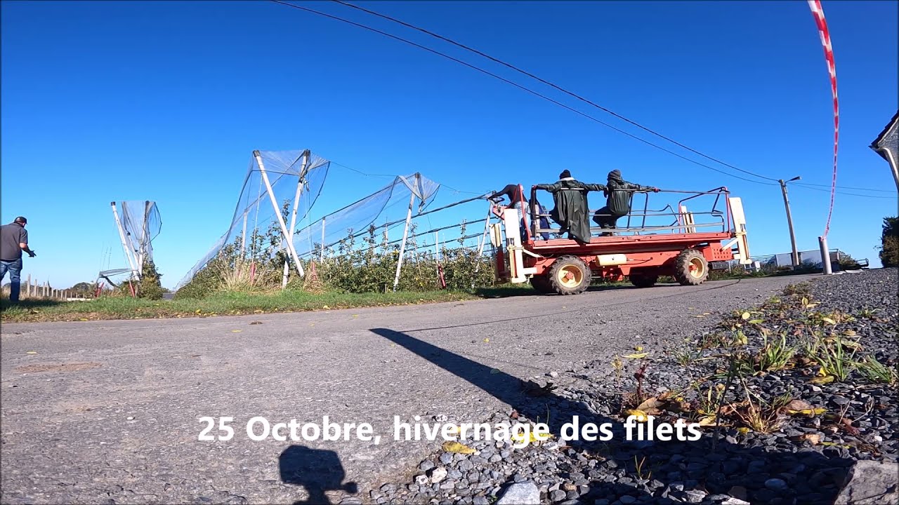 Repliage des filets anti grêle