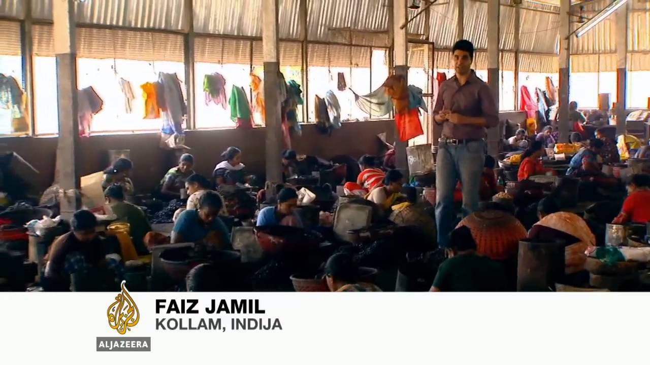 Proizvodnja indijskih oraha u lošim uvjetima