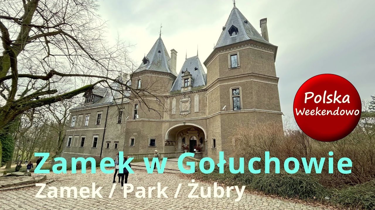 Zamek w Gołuchowie / Park / Żubry / Koniki polskie
