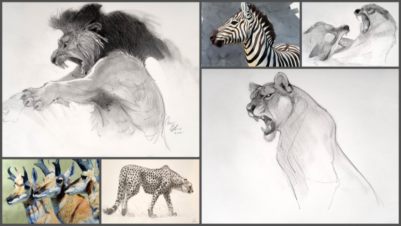 🔴 LIVE STREAM: Animal Drawing with Aaron Blaise & New Masters Academy