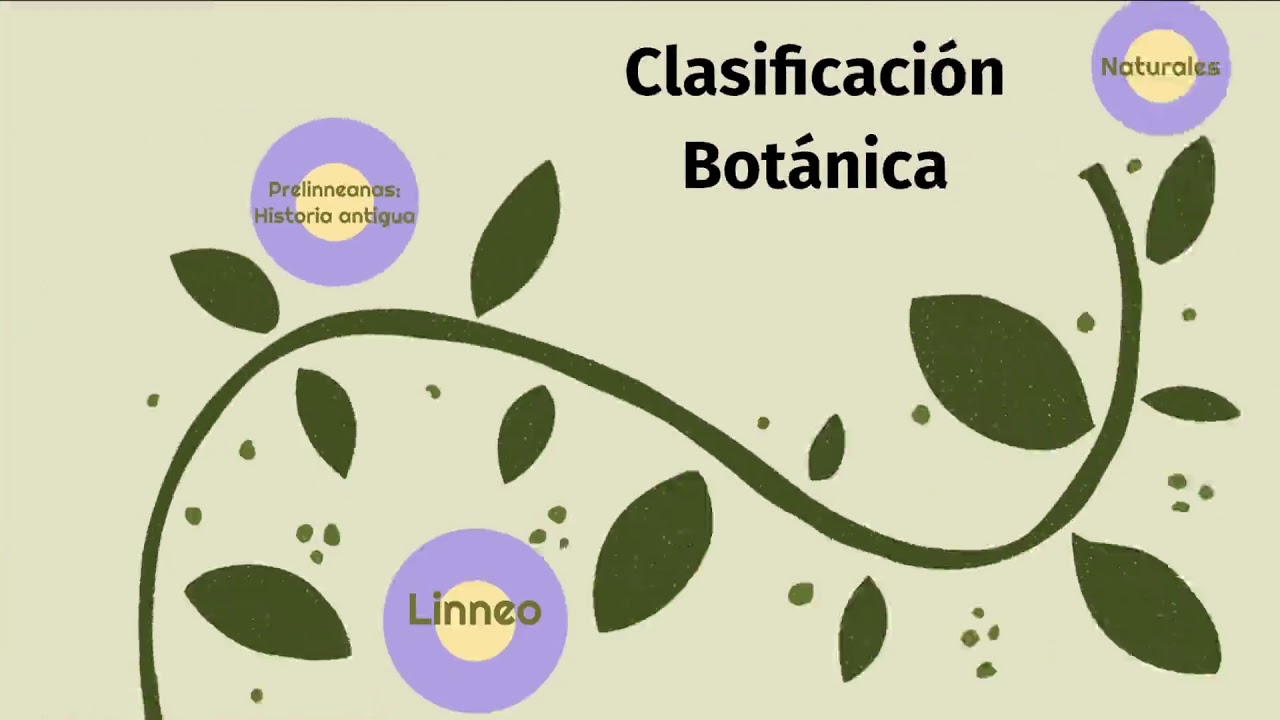 Historia clasificaciones botánicas
