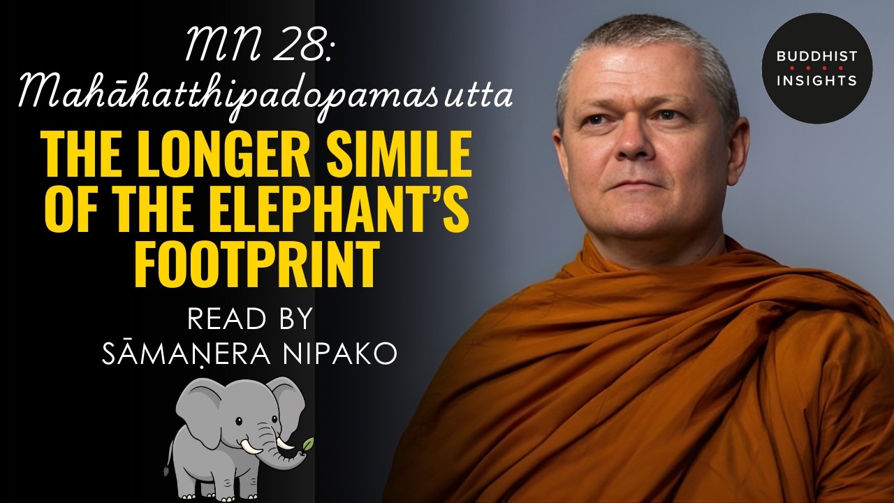 MN 28 - Mahāhatthipadopamasutta | The Longer Simile of the Elephant’s Footprint - Bhante Sujato