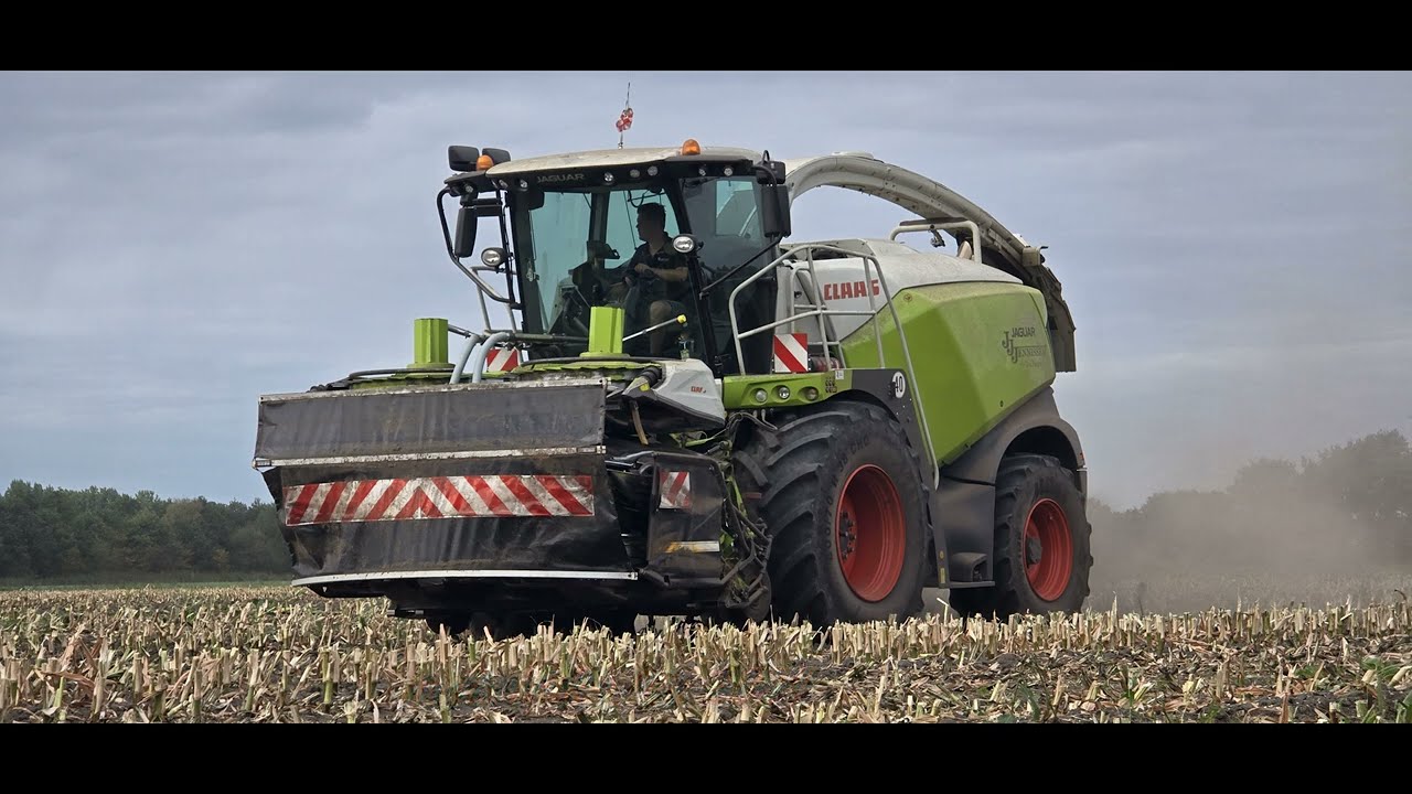 Mais hakselen 2025 | Loonbedrijf jennissen | Claas jaguar 950 | steyr mais truck | fendt 720 + 724