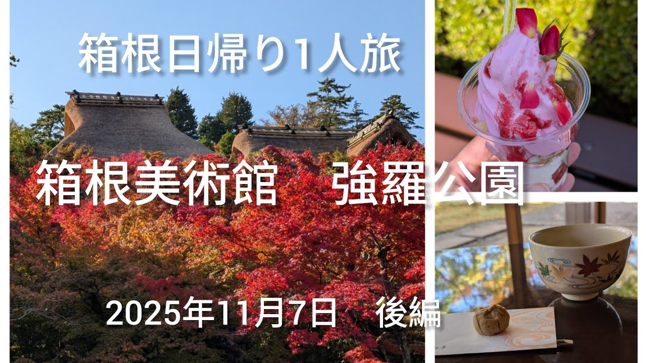 箱根紅葉1人旅箱根美術館　強羅公園 2025年11月7日