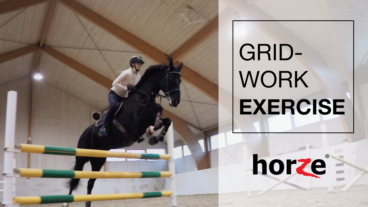 Gymnastic Gridwork Exercises for your horse with Chloe Loane - Part One