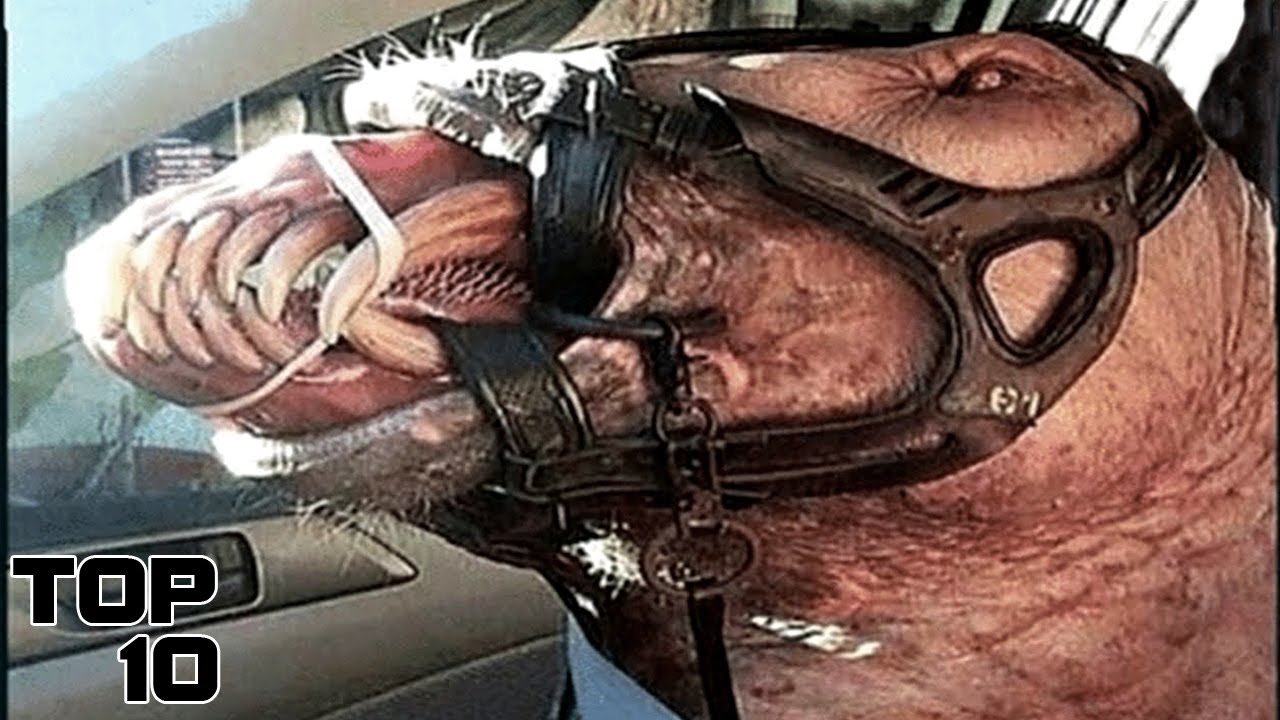 Top 10 Unsettling Things That Scientists Don't Want You To See