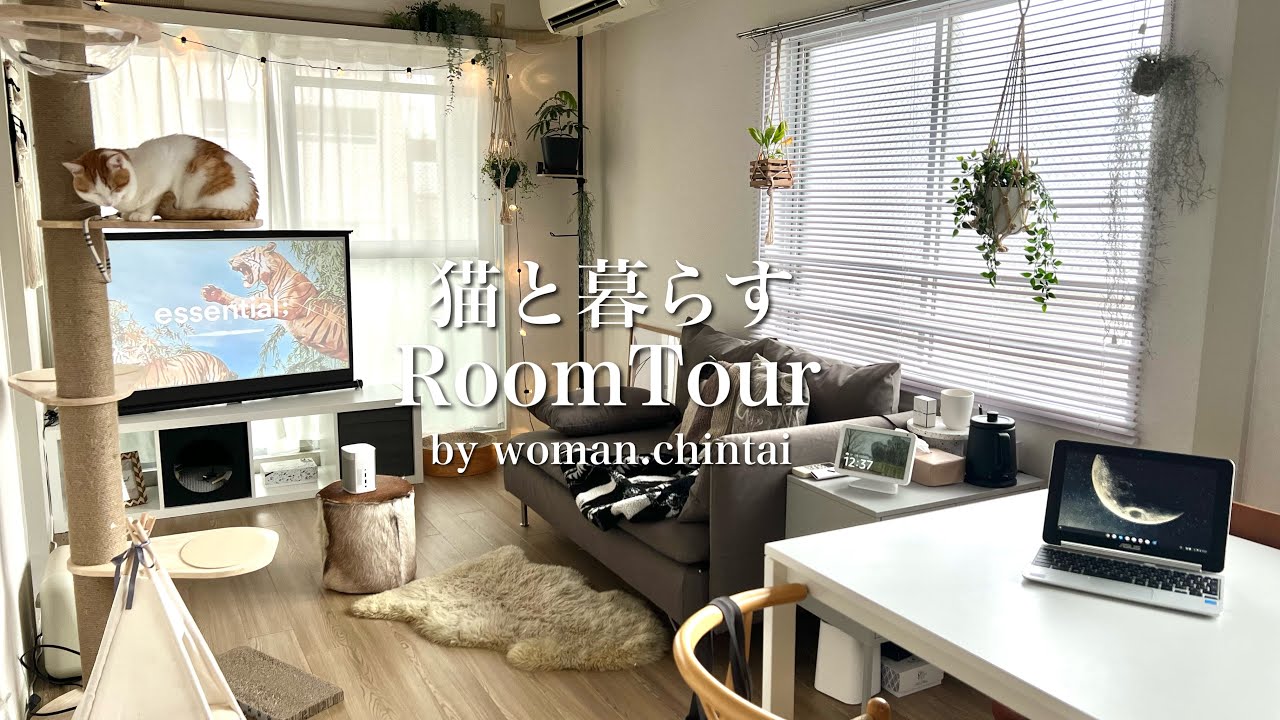 【猫と暮らすルームツアー】1K 1人暮らし | ナチュラルな部屋 | 猫・ペット暮らし | 飼育するうえで準備したもの・注意していること | room tour
