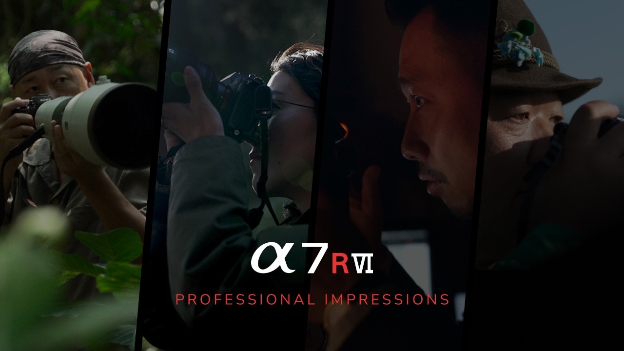 &alpha;：&alpha;7R VI Professional Impressions【ソニー公式】