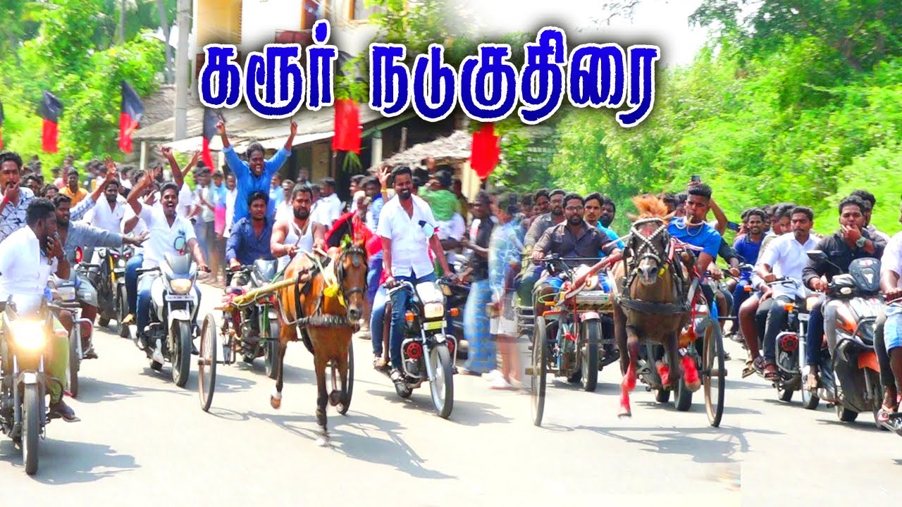 நடு குதிரை- கரூர் குதிரைவண்டி பந்தயம் 26.11.2022#amutham_studio #rekla_race_2022
