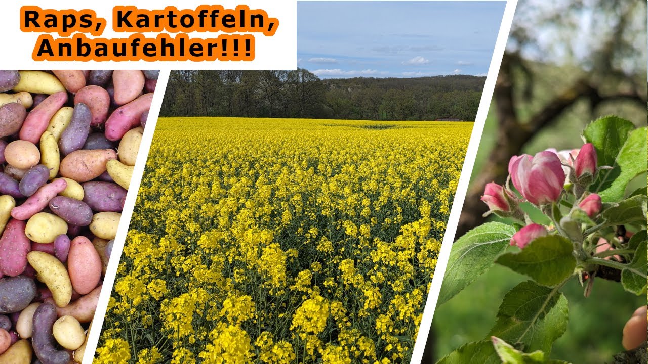 AKF Frühjahr 24 | ANBAUFEHLER, Experimente im Raps, Futterbau und Besondere Kartoffeln