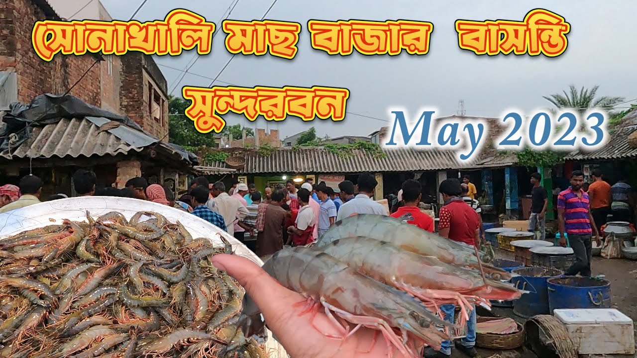 সোনাখালী মাছের বাজার বাসন্তী || Sundarban Fish markt || Basanti Sundarban