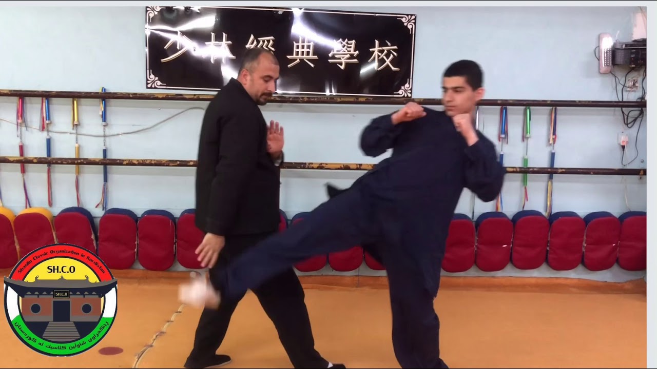 shaolin classic 2019 china wing chun