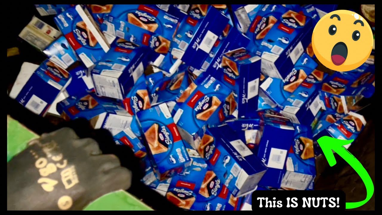 This Is NUTS! The Amount Of Food & Merchandise I Found Dumpster Diving WILL SHOCK You!