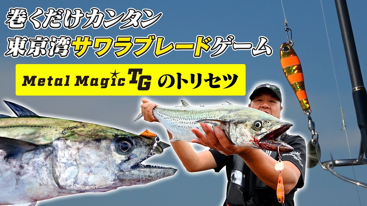 【投げて巻くだけでなぜ釣れる？】東京湾サワラ攻略の切り札「メタルマジックTG」のトリセツ