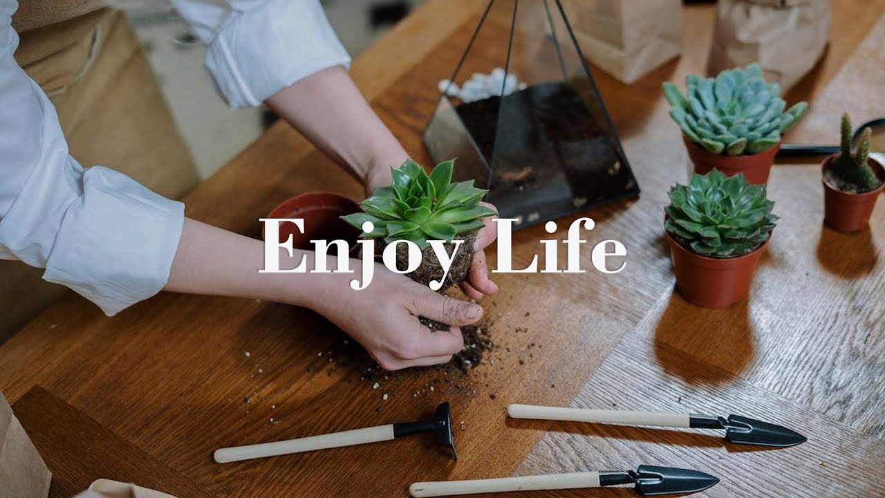 A playlist to enjoy your life | BE PRESENT