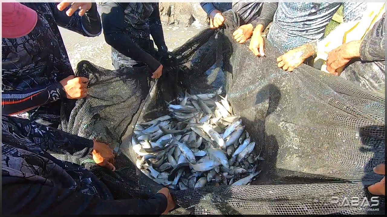 EP510-Part 1 - Pangangapa ng Isda at Alimango | Anong nangyari sa mga Sugpo?