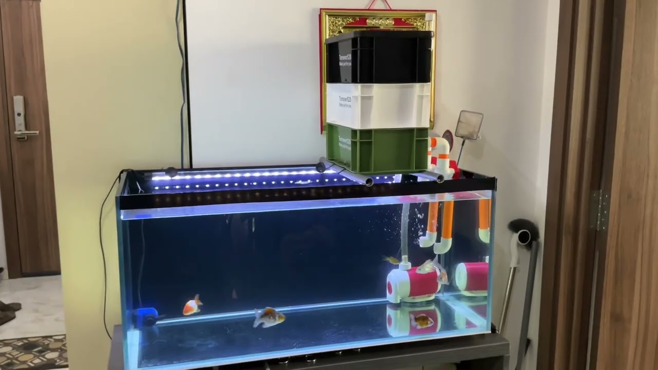 Thùng lọc hồ cá dàn mưa 3 tầng  đẹp dễ vệ sinh