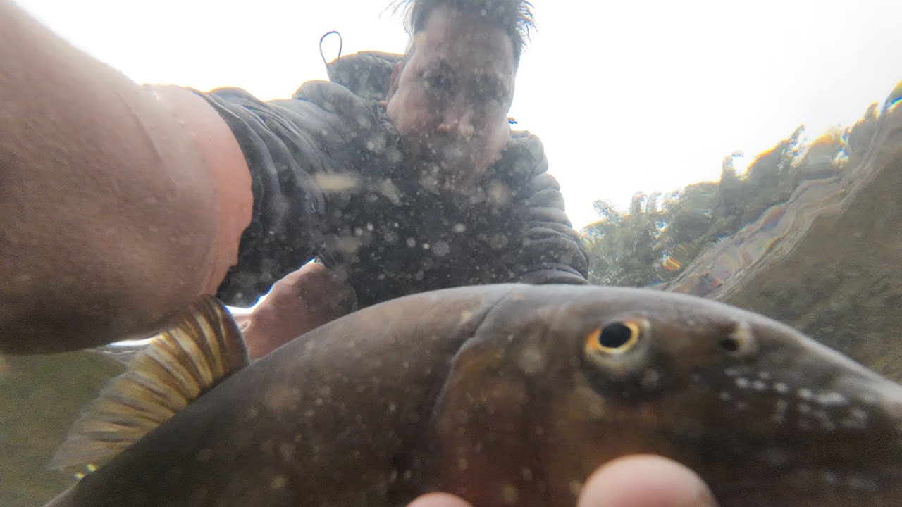 Snow ❄️ Trout fishing 🦦
