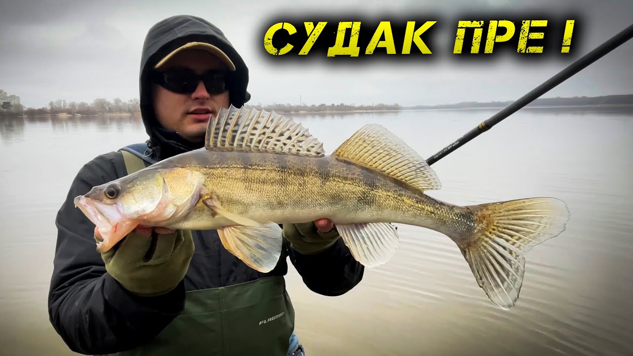 ✅СУДАК НЕ СПИТЬ! РОЗДАЧІ ПРОДОВЖУЮТЬСЯ!✅
