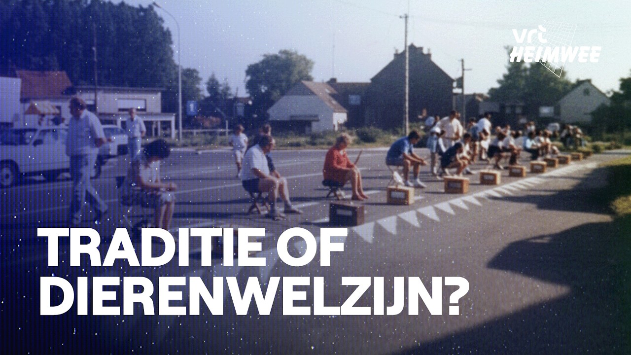 Vinkenzetten: volksvertier met een duister kantje | 1986