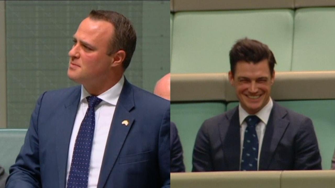 Australian Lawmaker Proposes to His Partner During Same-Sex Marriage Debate