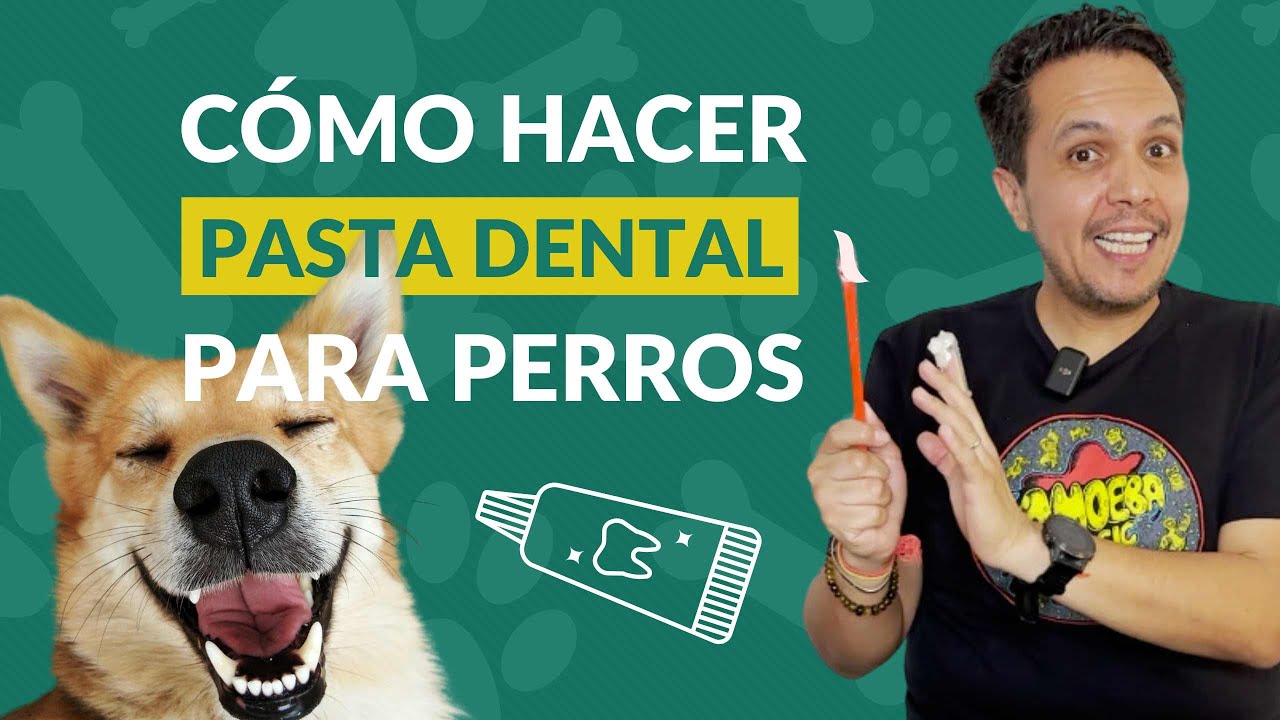 🐶💦 Cómo hacer pasta de dientes para perros 🐾🚰