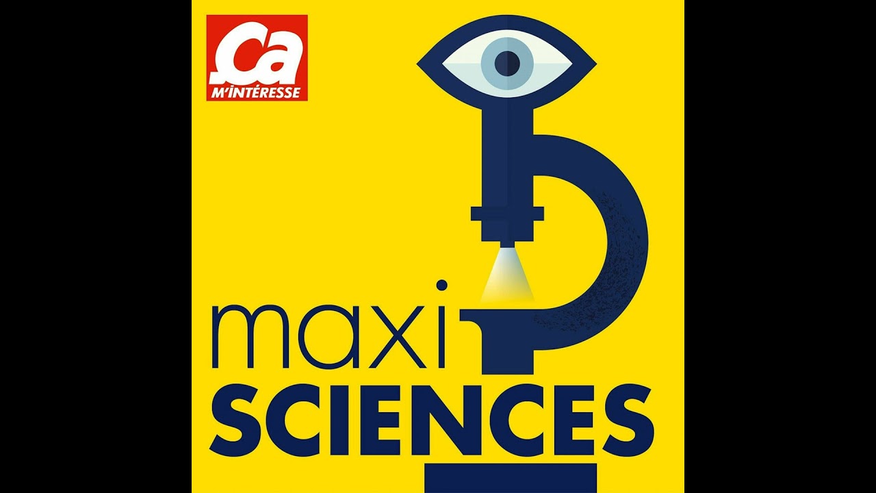 Y a-t-il plus d'espèces sur la Terre ou dans la mer ?