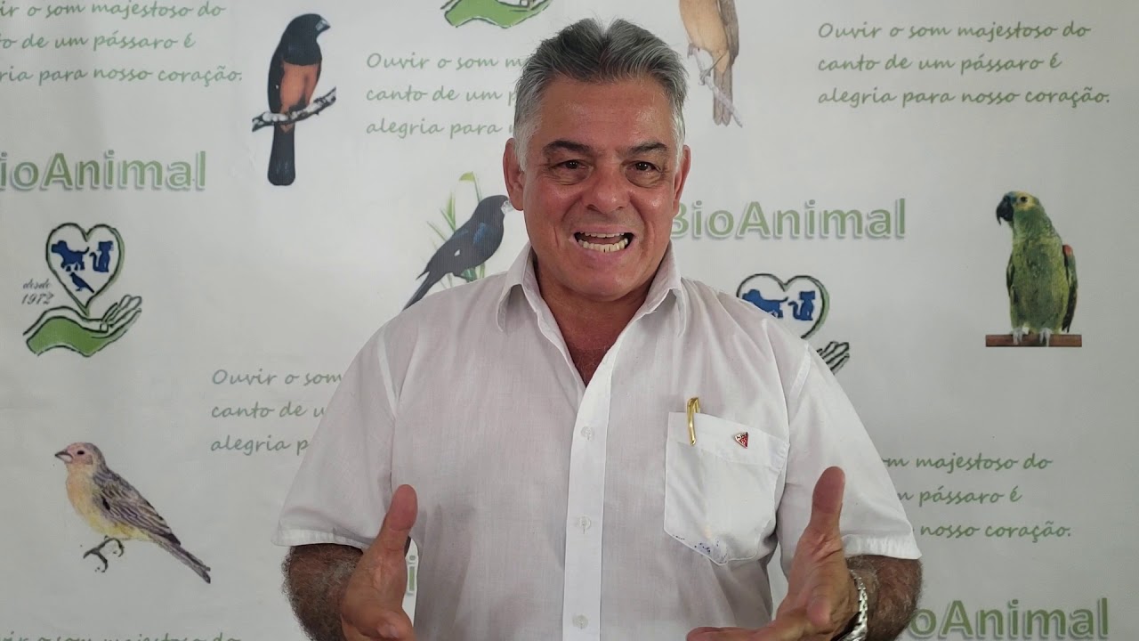 DICAS DE MUDA DO SEU PÁSSARO !