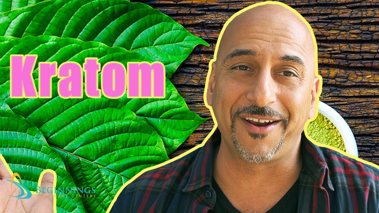 What is Kratom like? Real Experience! | Beginnings Treatment