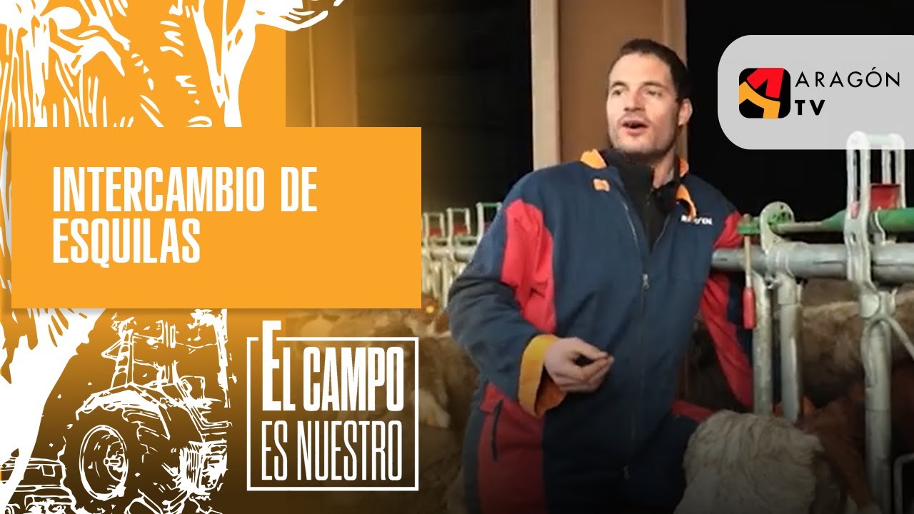 Intercambio de esquilas