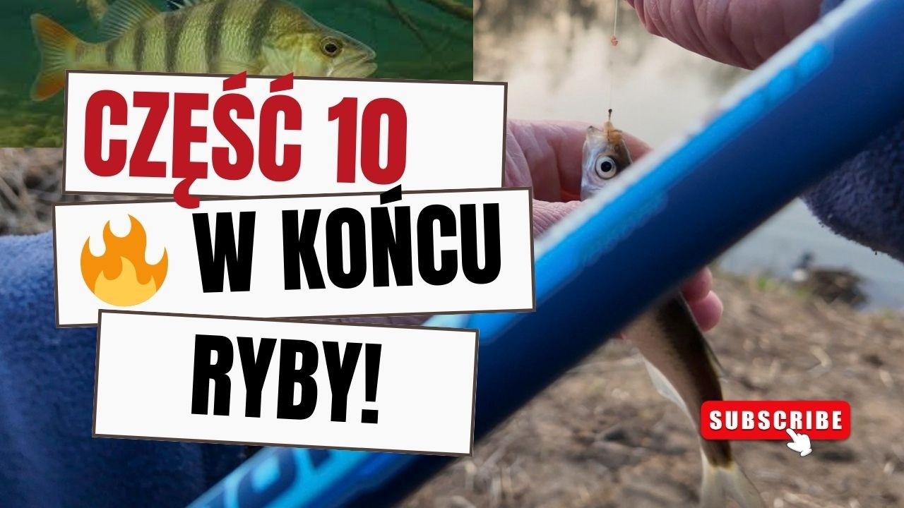 🎣 W końcu coś bierze! Pierwszy Okoń i Uklejka w Połowie Marca | Spokojne Wędkowanie nad Starorzeczem