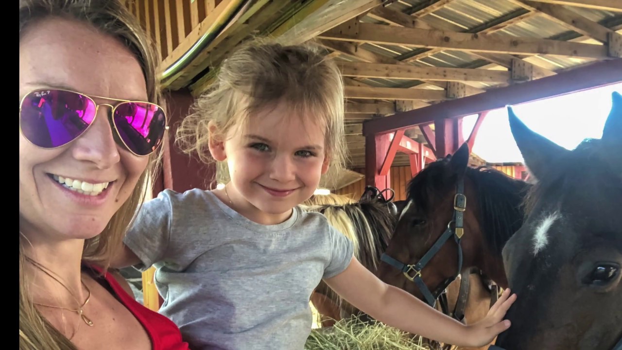 Day Trip to Highest Tides in the World and National Parks - FamilyPilot Canada Vacation