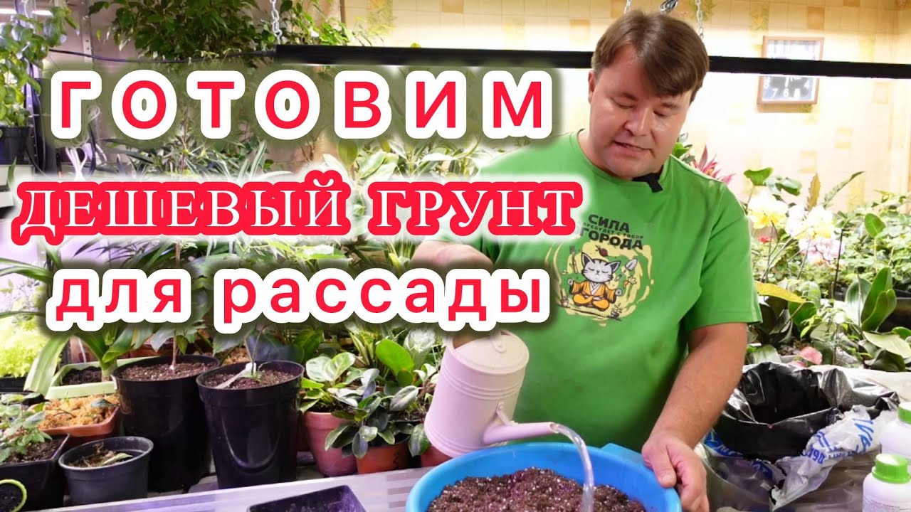 Готовим самый правильный грунт для рассады с минимальными вложениями